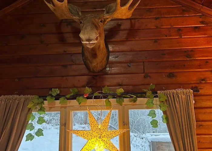 Beautiful Cabin By Mjosa. * Stange