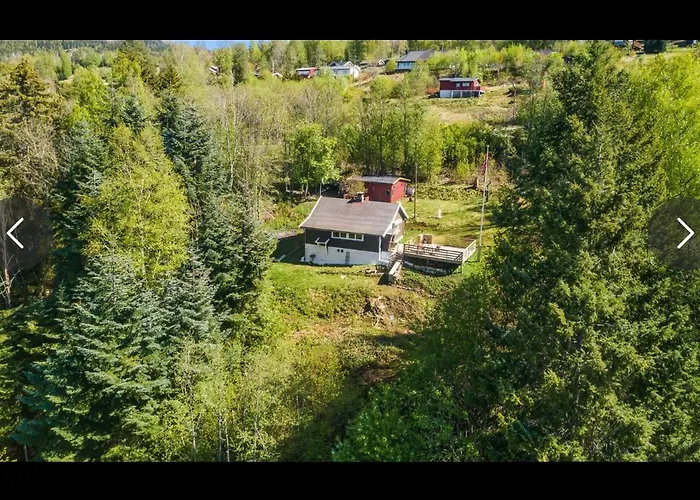 Beautiful Cabin By Mjosa.